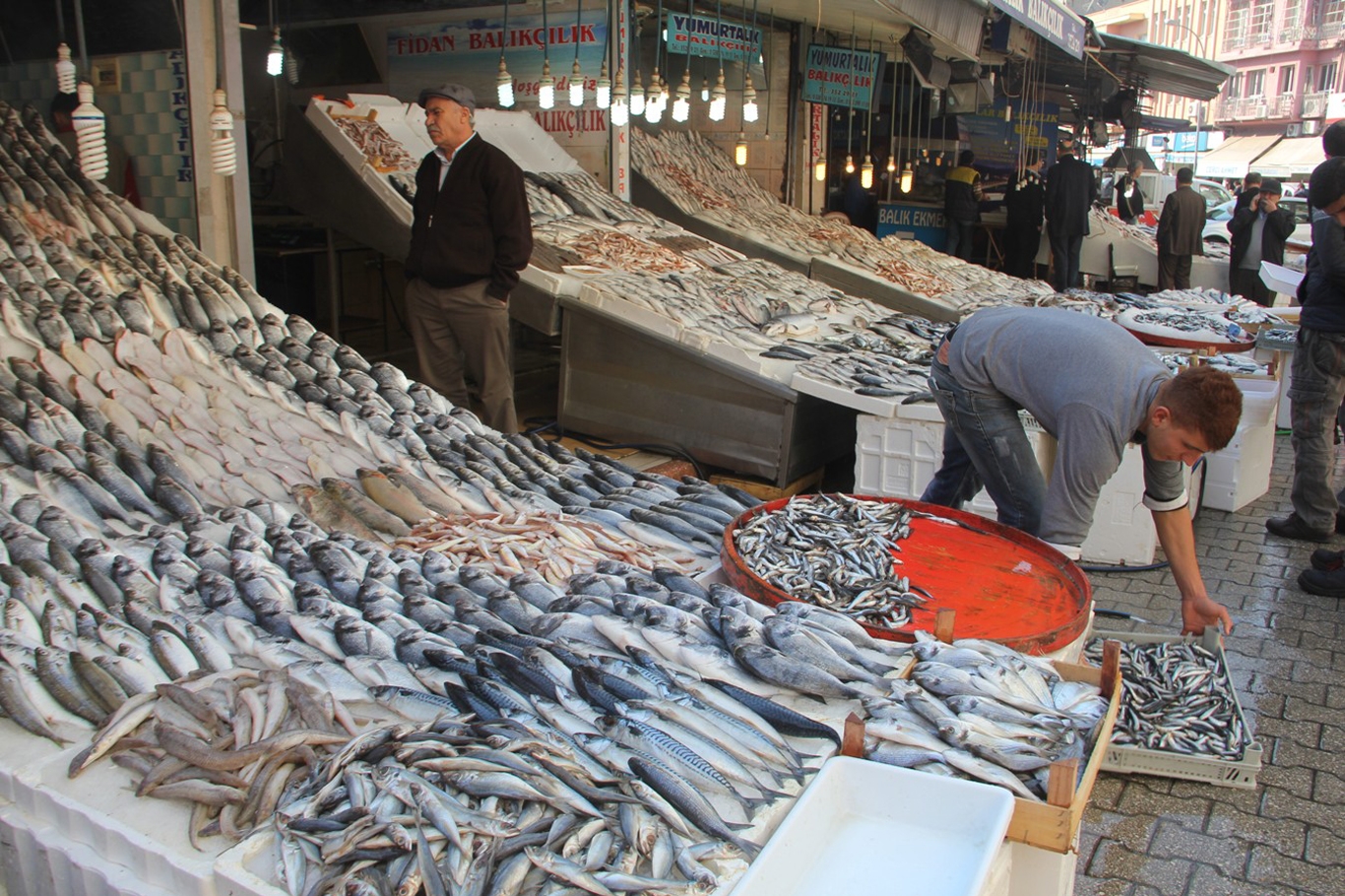 Türkiye balık tüketiminde dünya ortalamasının çok altında 